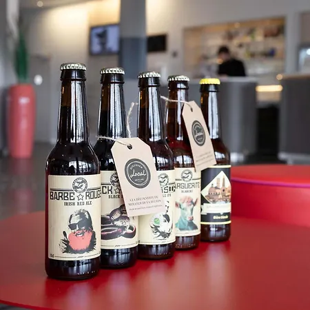 美居图卢兹南酒店 酒店 4*