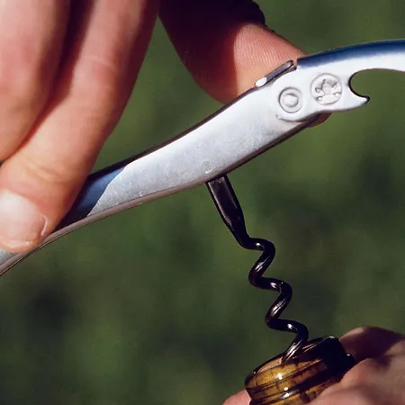 美居图卢兹南酒店 酒店 4*