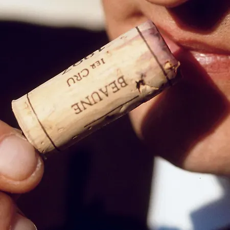 Otel Mercure Sud Toulouse