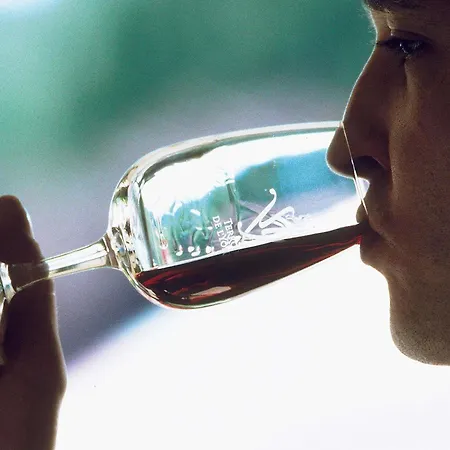 美居图卢兹南酒店 4* 圖盧茲