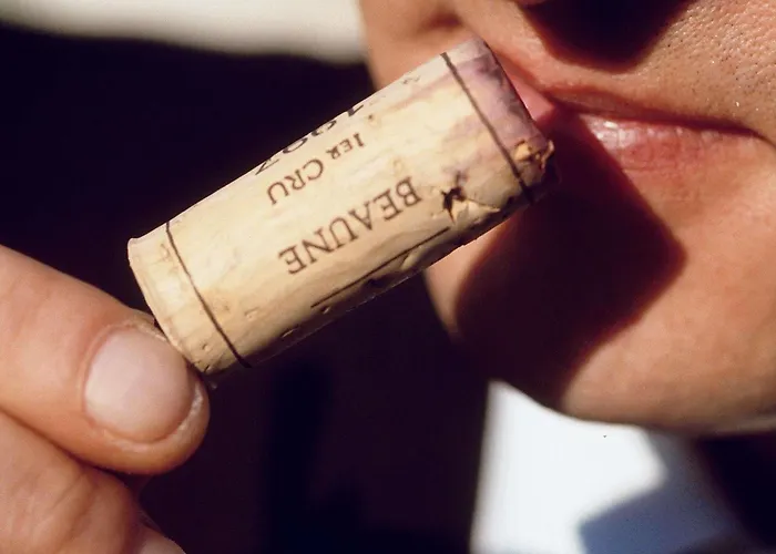 Hotel Mercure Sud Toulouse