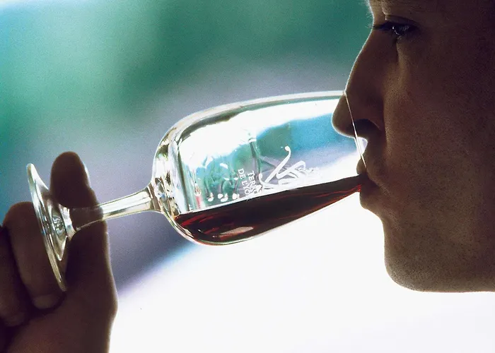 Mercure Sud 4* Toulouse